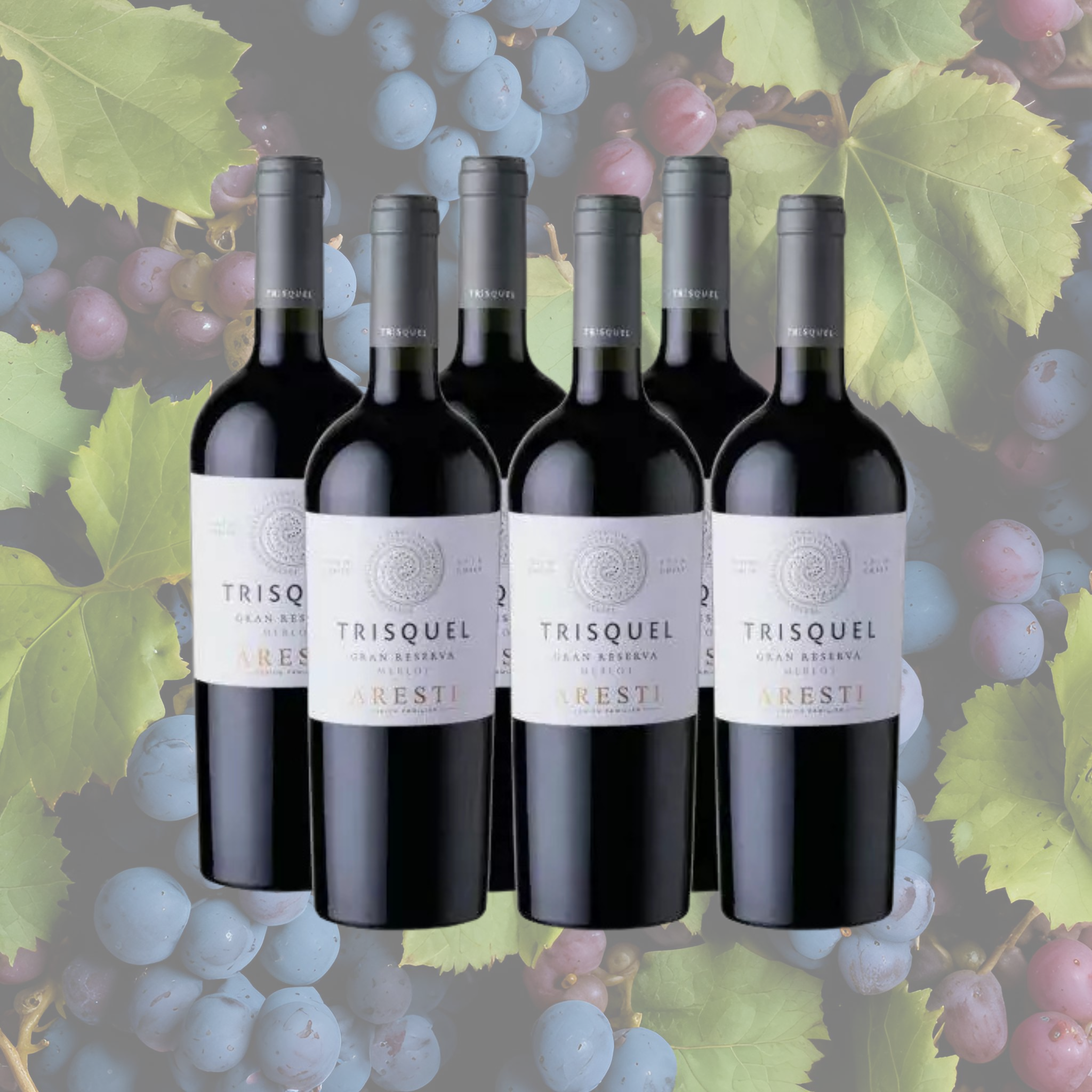Pack Trisquel Merlot
